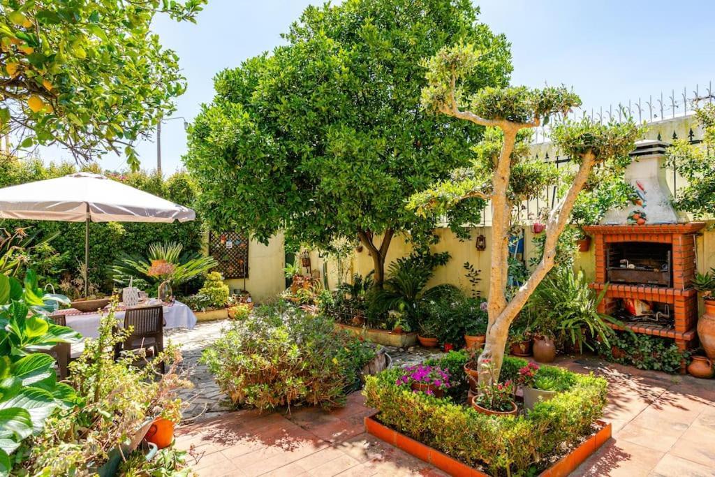 Studio & Garden Lisbon Luaran gambar