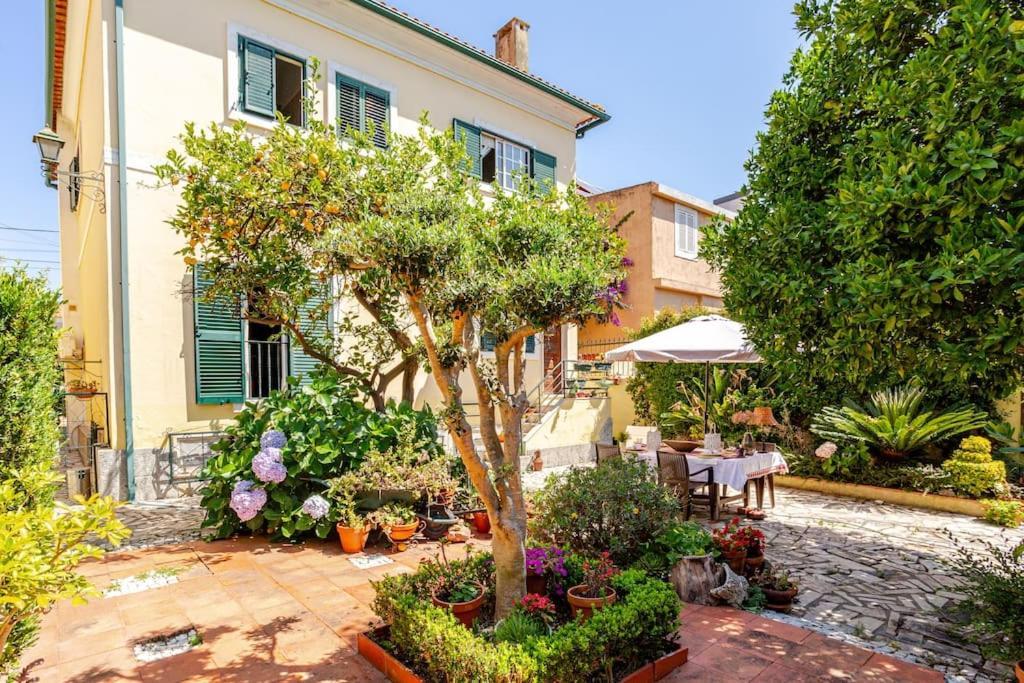 Studio & Garden Lisbon Luaran gambar