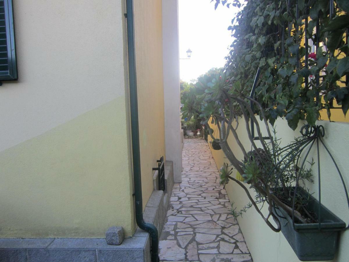 Studio & Garden Lisbon Luaran gambar